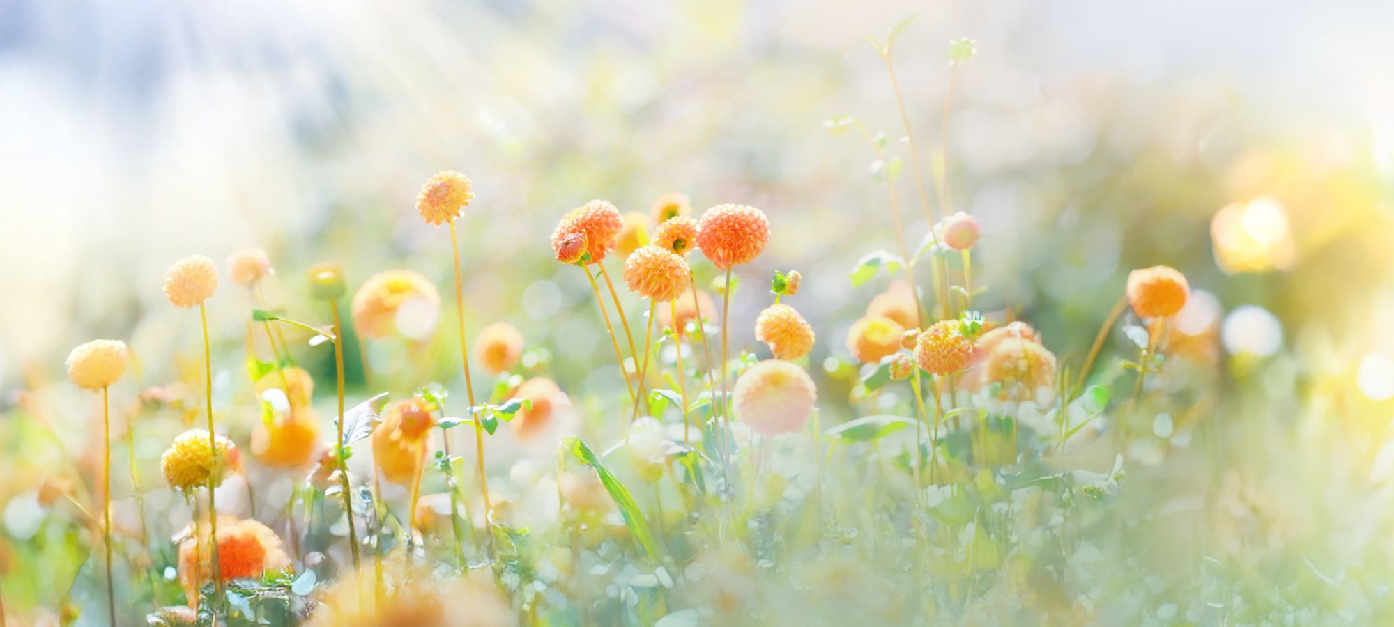 キービジュアルイメージ